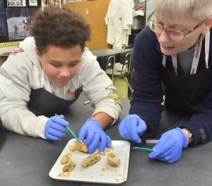 Making the cut: South Middle students employ sheep brains to explore human maladies